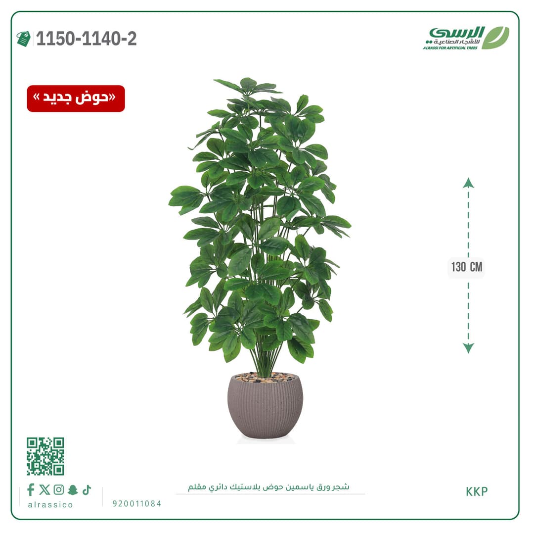 Jasmine Leaf Plant in Striped Round Plastic Pot