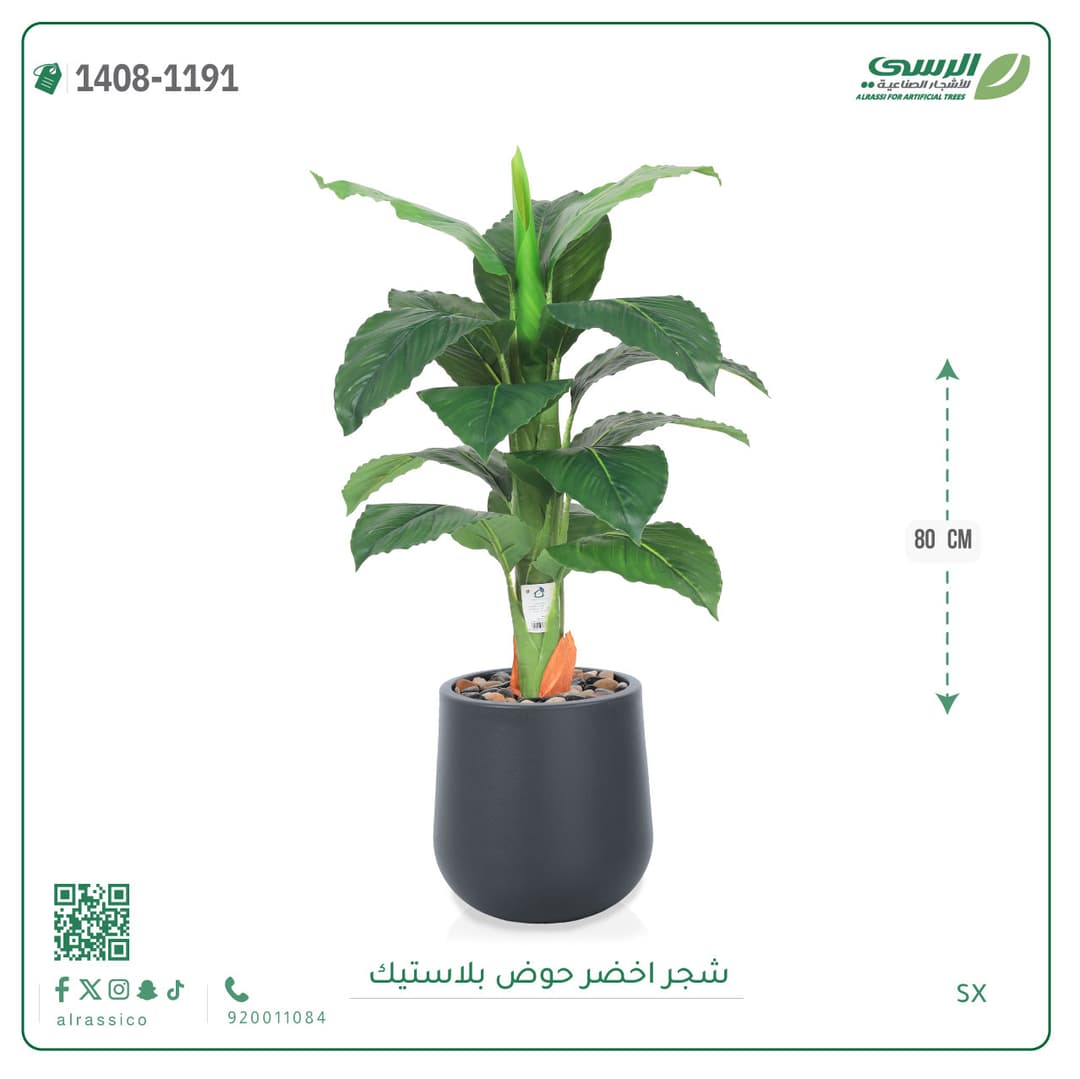 شجر اخضر حوض بلاستيك 80 سم