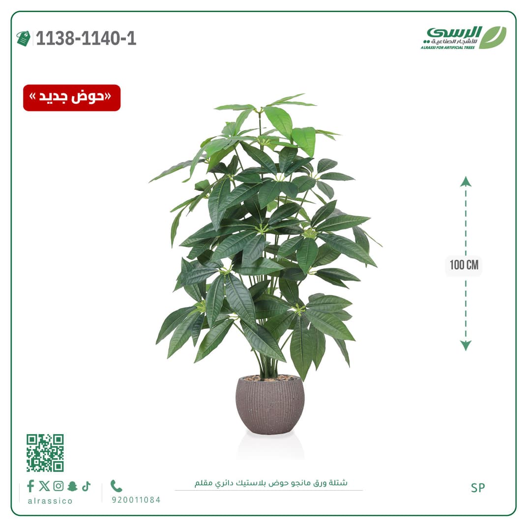 Mango Leaf Plant in Striped Round Plastic Pot
