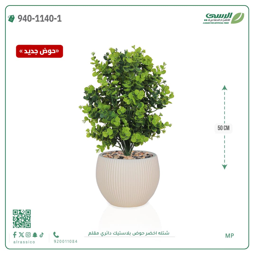 Green Plant in Striped Round Plastic Pot
