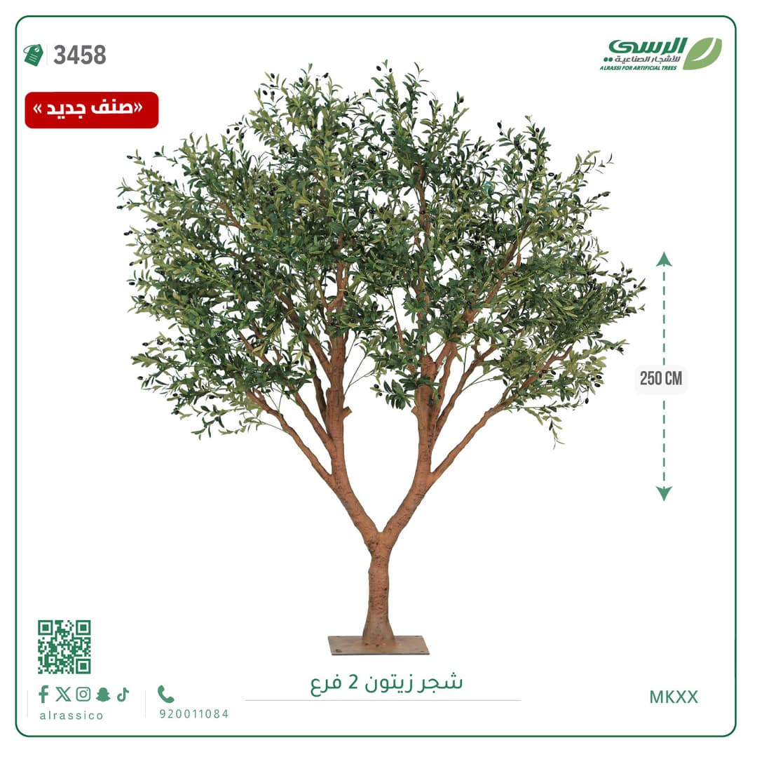 شجر زيتون 2 فرع