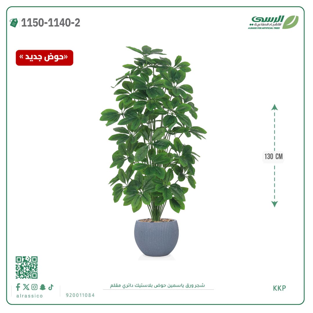 Jasmine Leaf Plant in Striped Round Plastic Pot