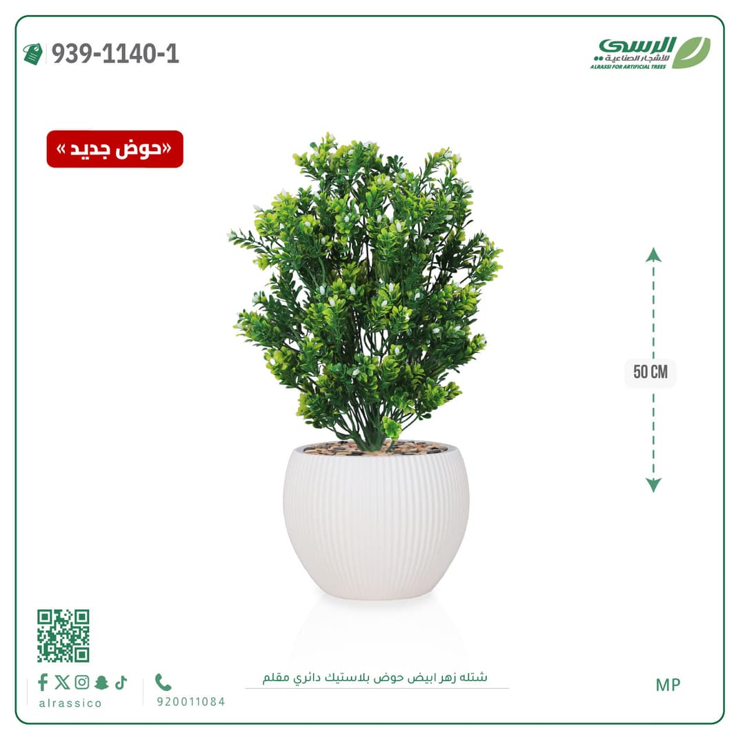 White Flower Plant in Striped Round Plastic Pot