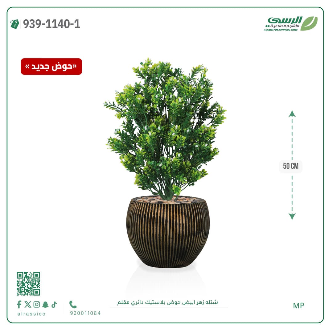 White Flower Plant in Striped Round Plastic Pot