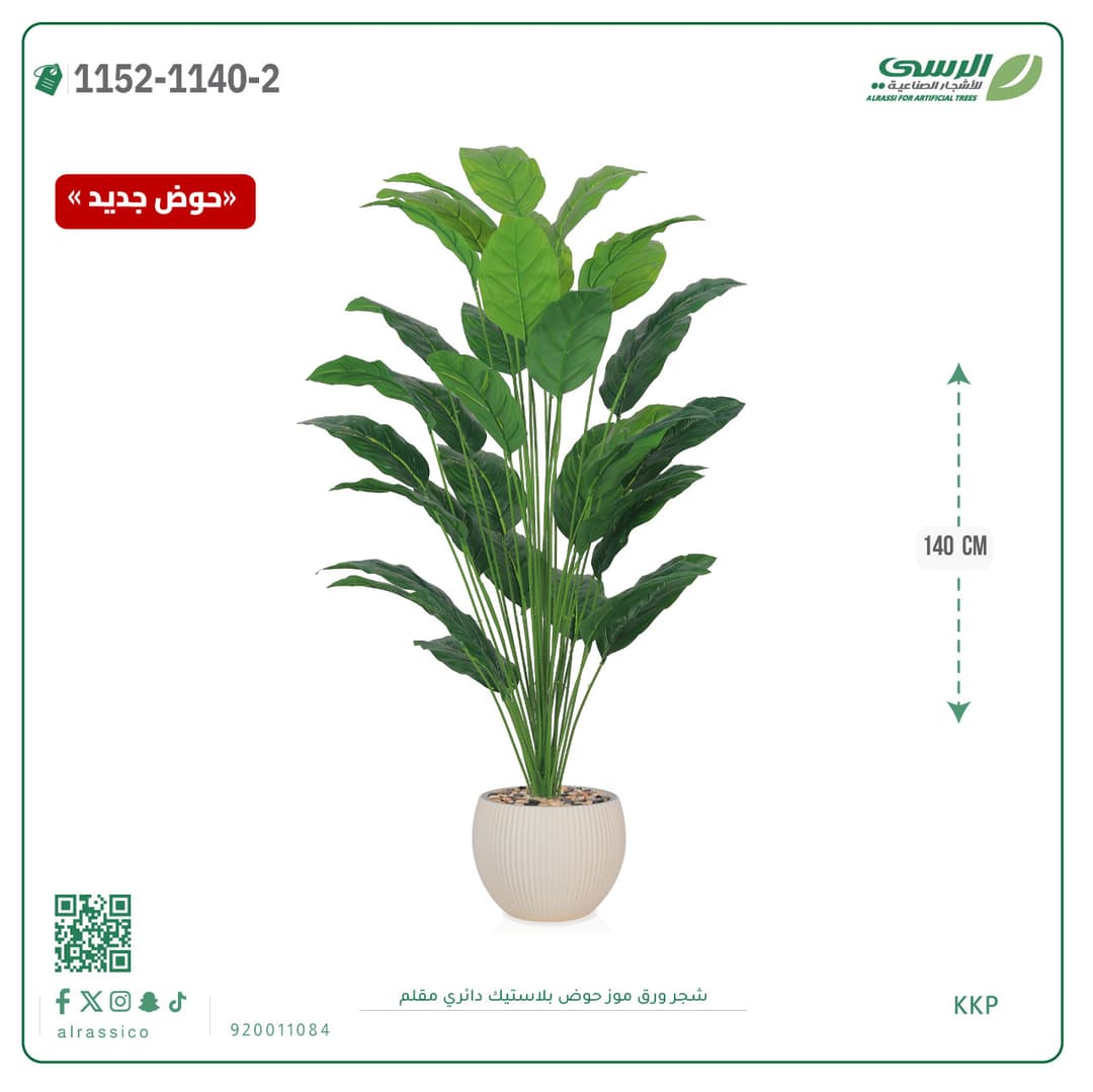 Banana Leaf Plant in Striped Round Plastic Pot