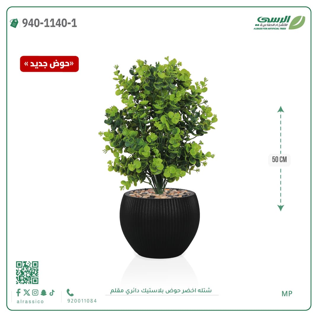Green Plant in Striped Round Plastic Pot