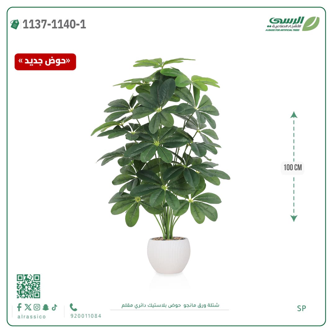 Mango Leaf Plant in Striped Round Plastic Pot