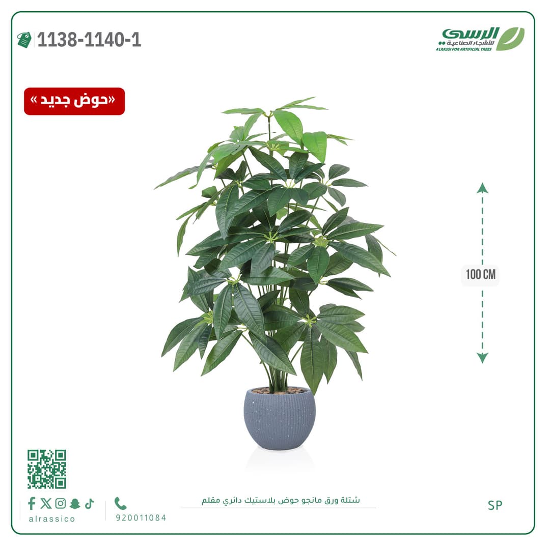 Mango Leaf Plant in Striped Round Plastic Pot