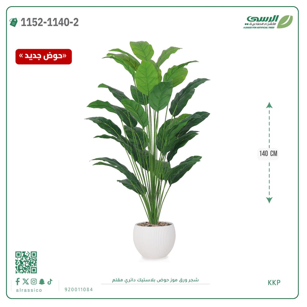 Banana Leaf Plant in Striped Round Plastic Pot
