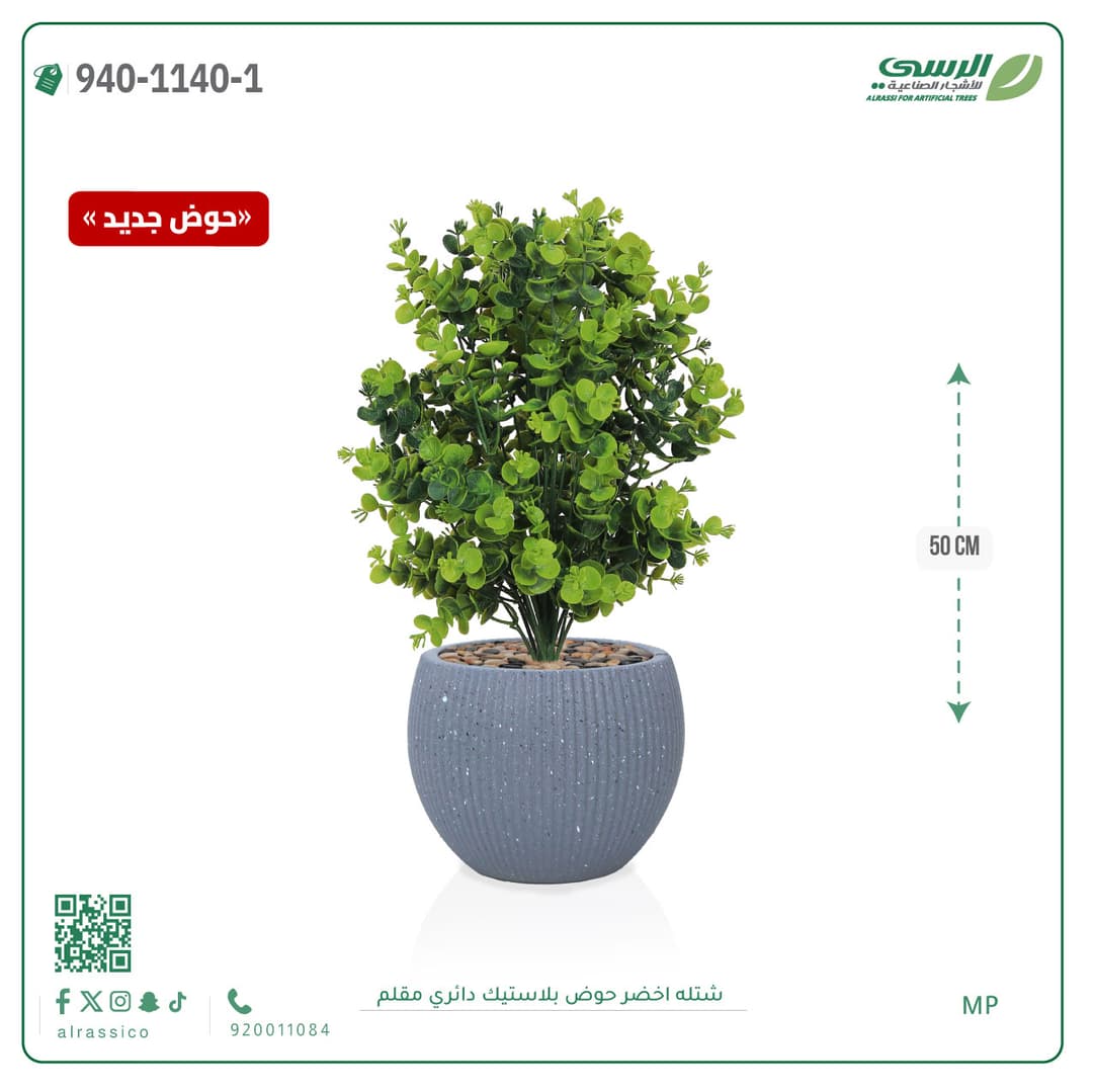 Green Plant in Striped Round Plastic Pot