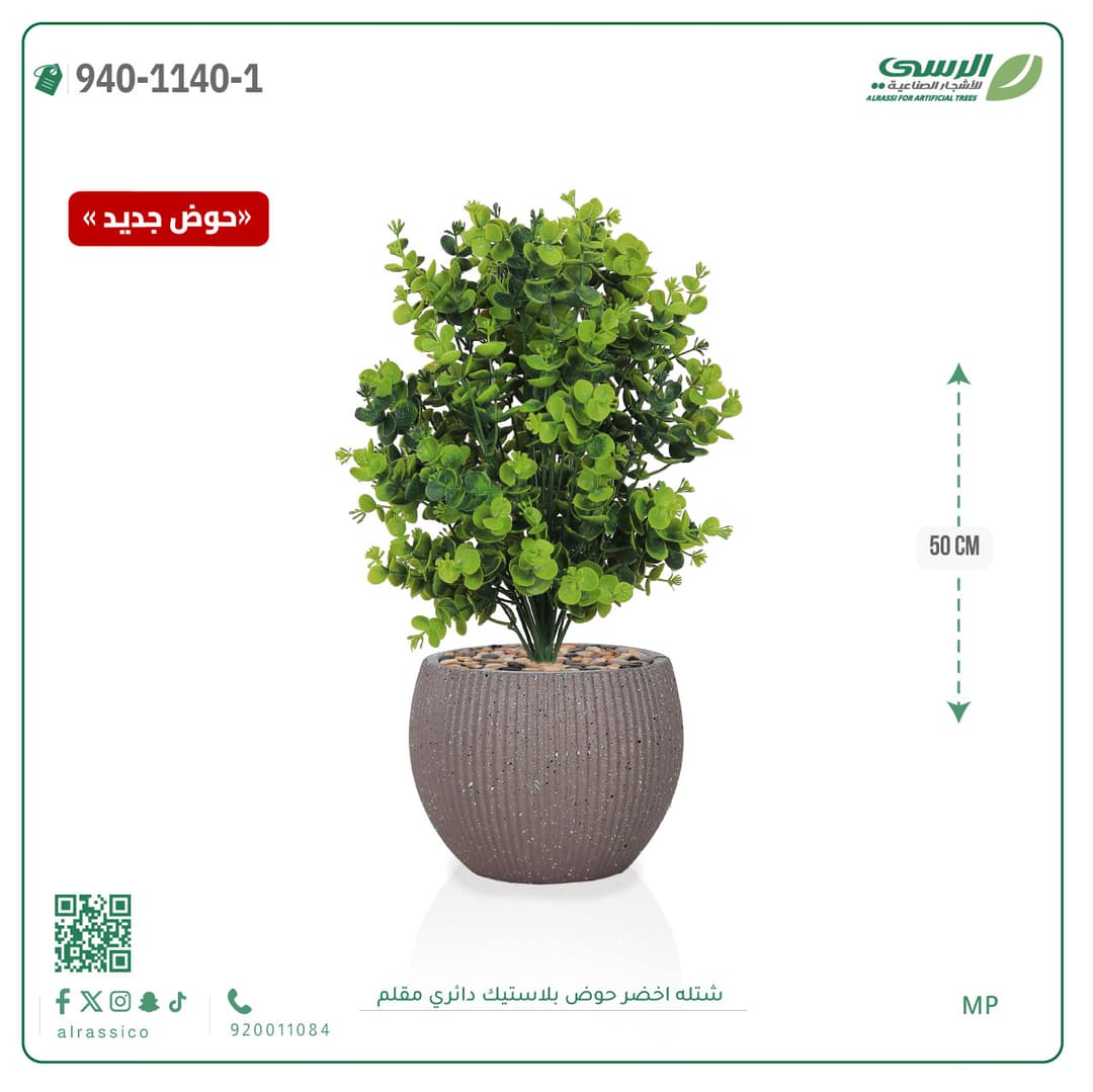 Green Plant in Striped Round Plastic Pot