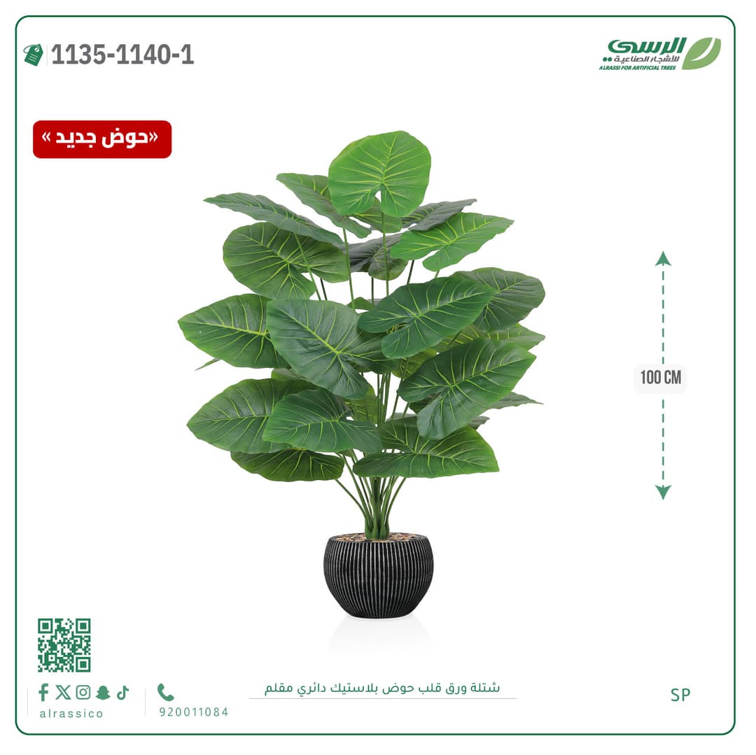 Heart Leaf Plant in Striped Round Plastic Pot