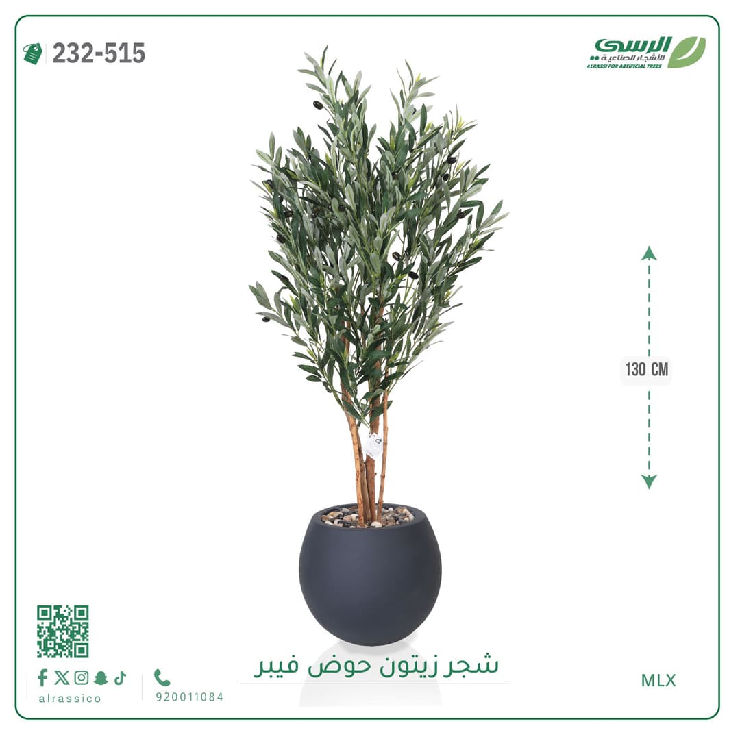 شجر زيتون حوض فايبر