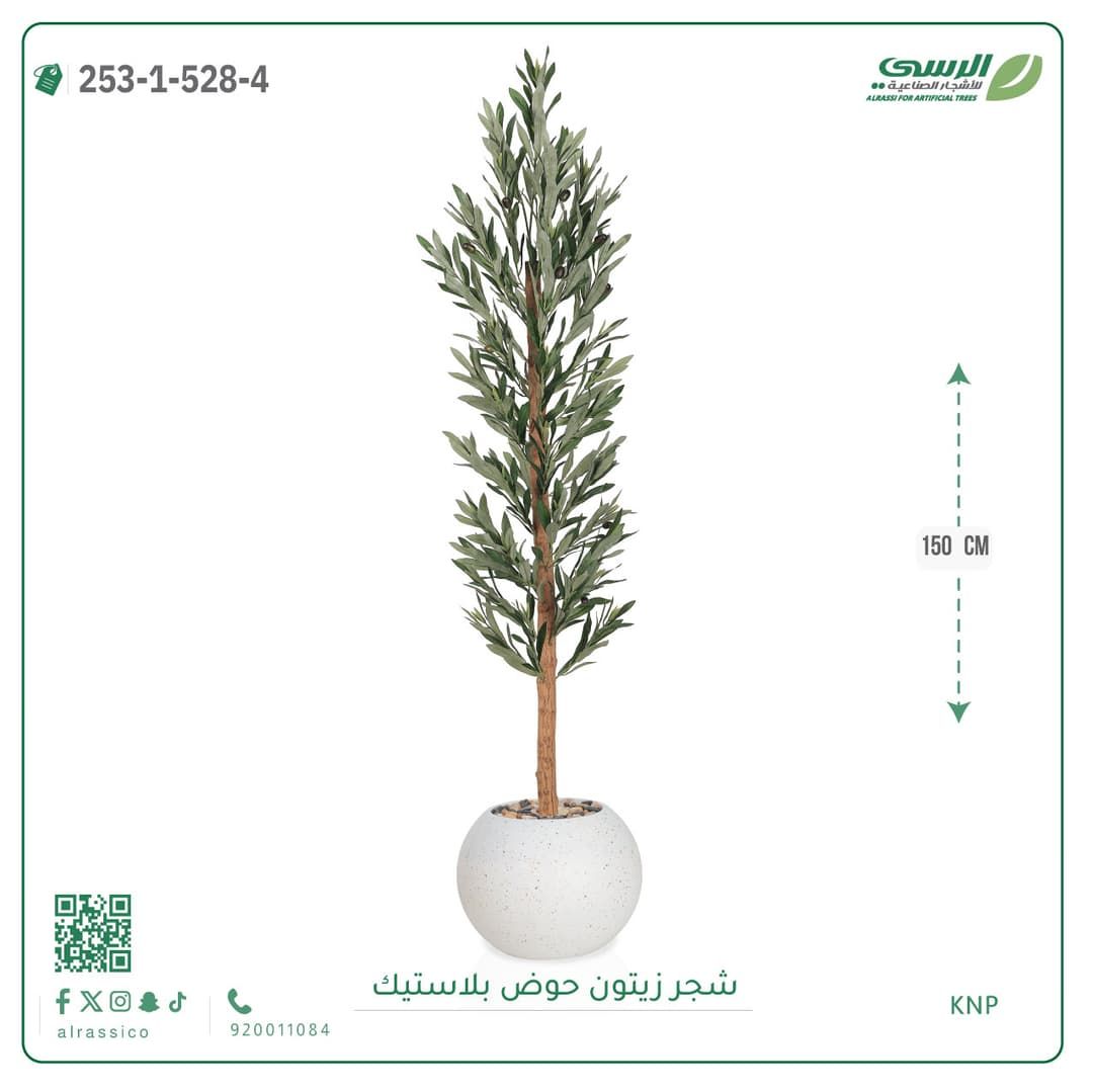 شجر نخل مركن بلاسيتك دائري 