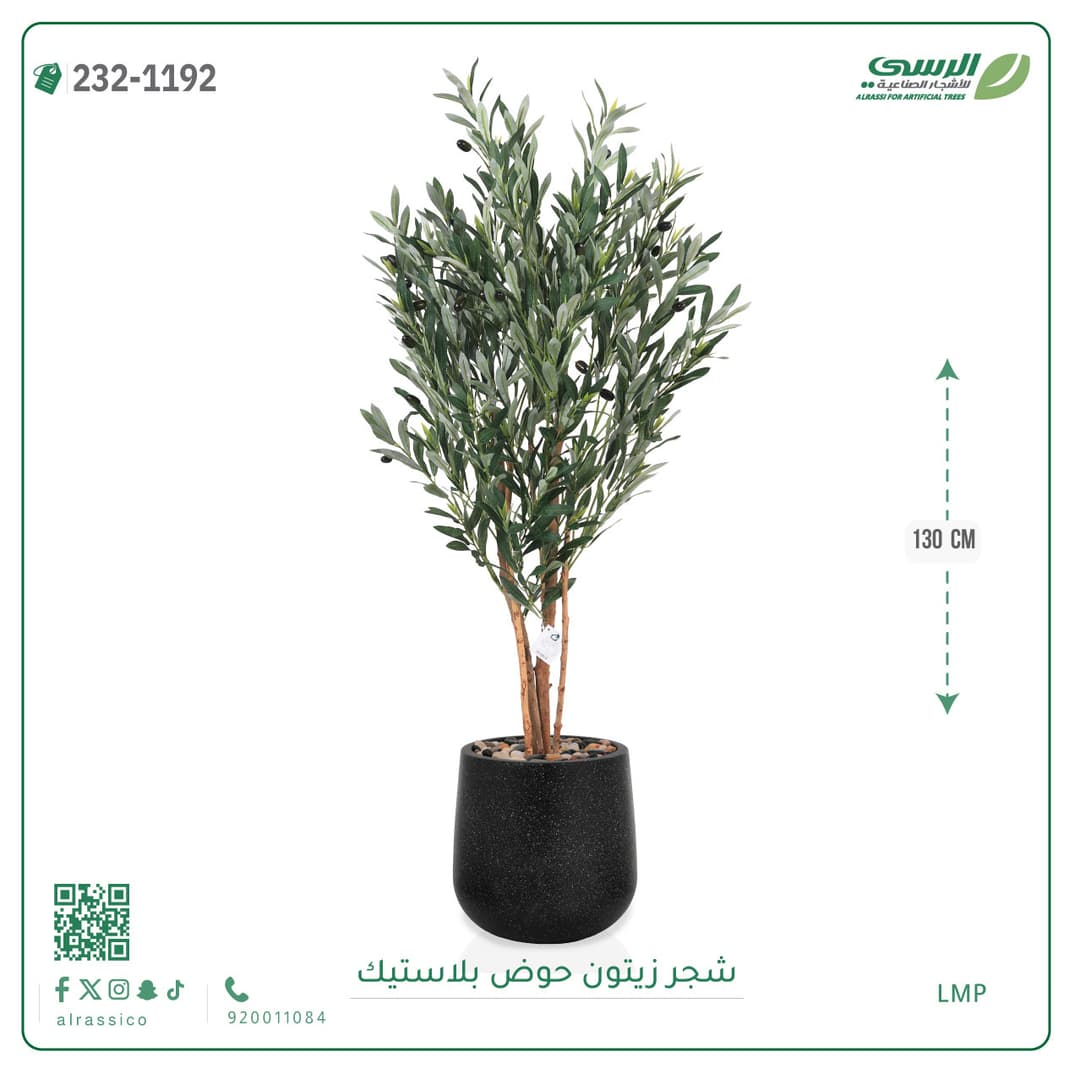 شجر زيتون حوض بلاستيك دائرى