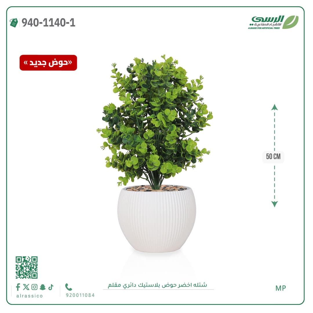 Green Plant in Striped Round Plastic Pot