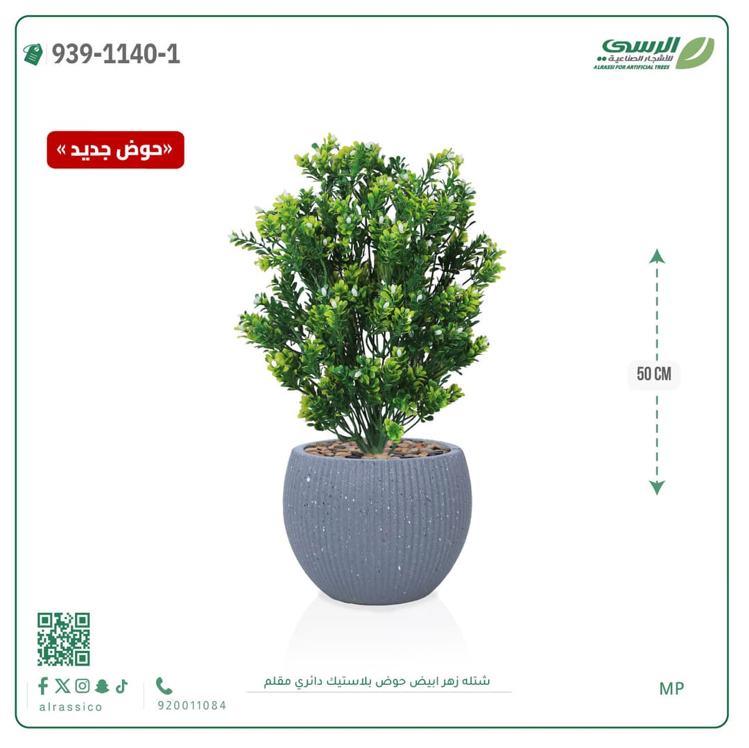 White Flower Plant in Striped Round Plastic Pot