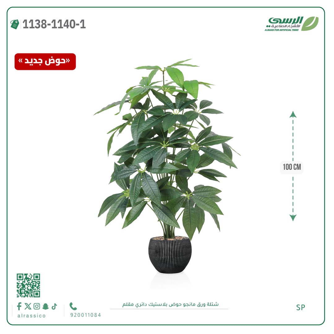 Mango Leaf Plant in Striped Round Plastic Pot