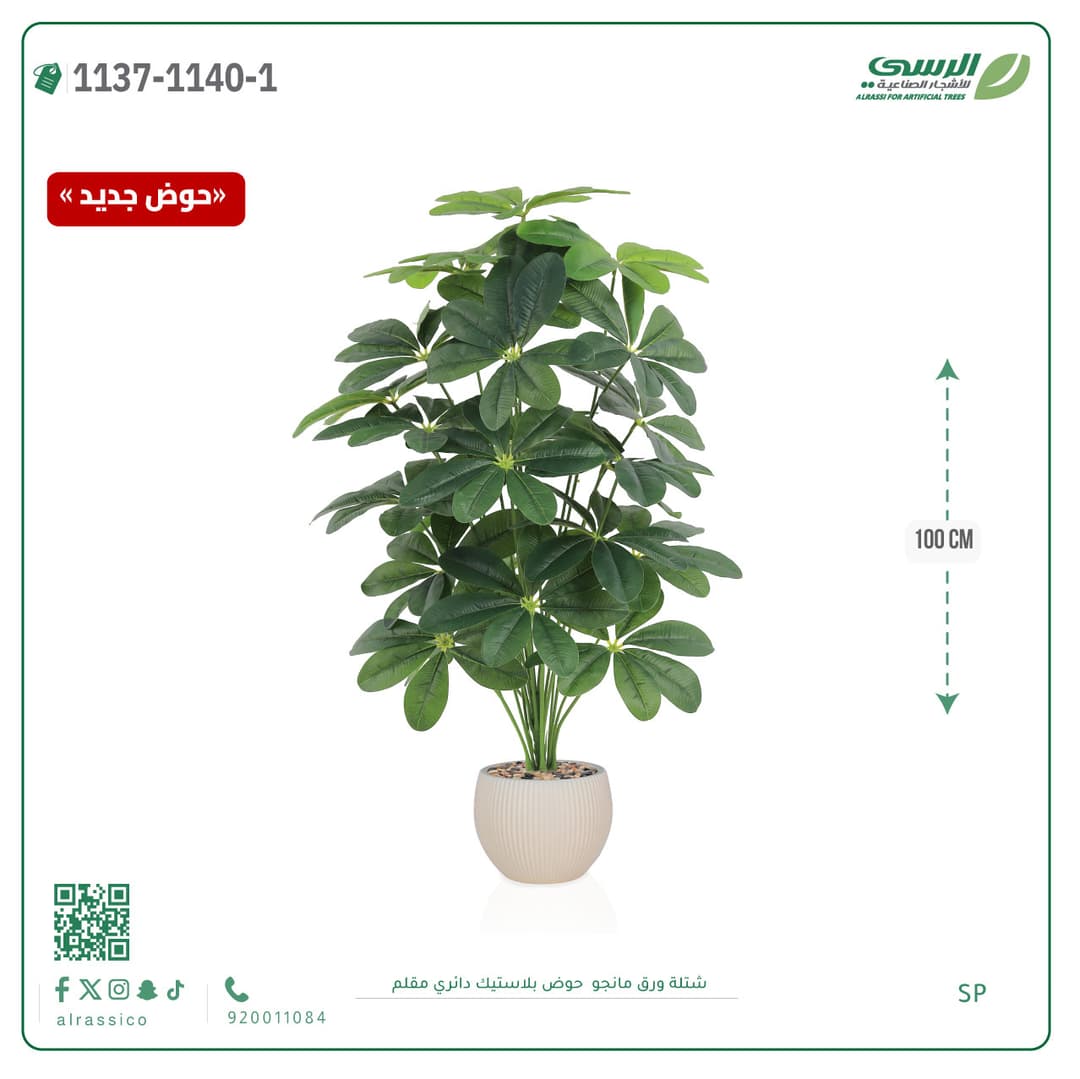 Mango Leaf Plant in Striped Round Plastic Pot