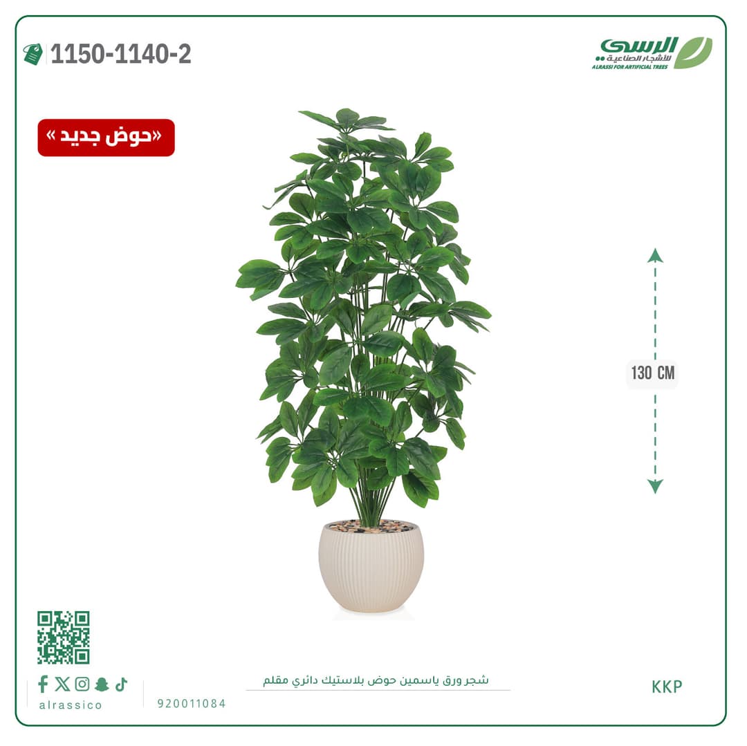Jasmine Leaf Plant in Striped Round Plastic Pot
