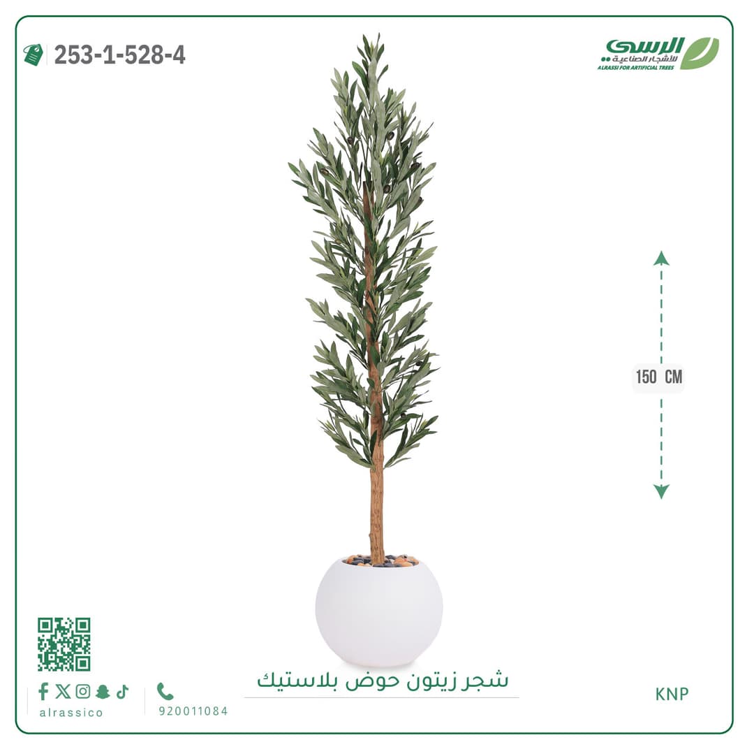 شجر نخل مركن بلاسيتك دائري 