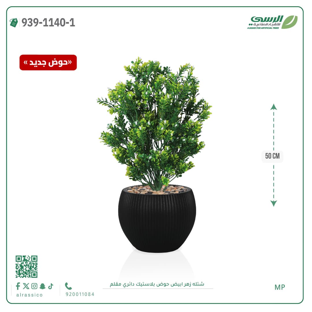 White Flower Plant in Striped Round Plastic Pot