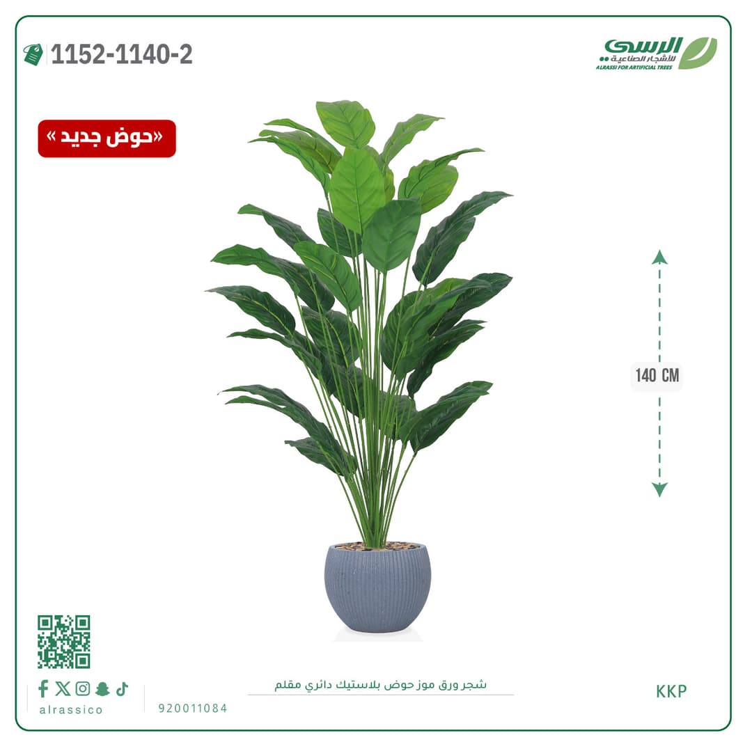 Banana Leaf Plant in Striped Round Plastic Pot