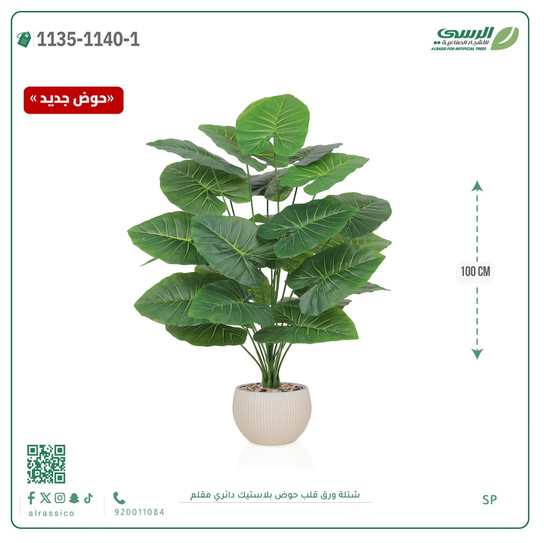 Heart Leaf Plant in Striped Round Plastic Pot