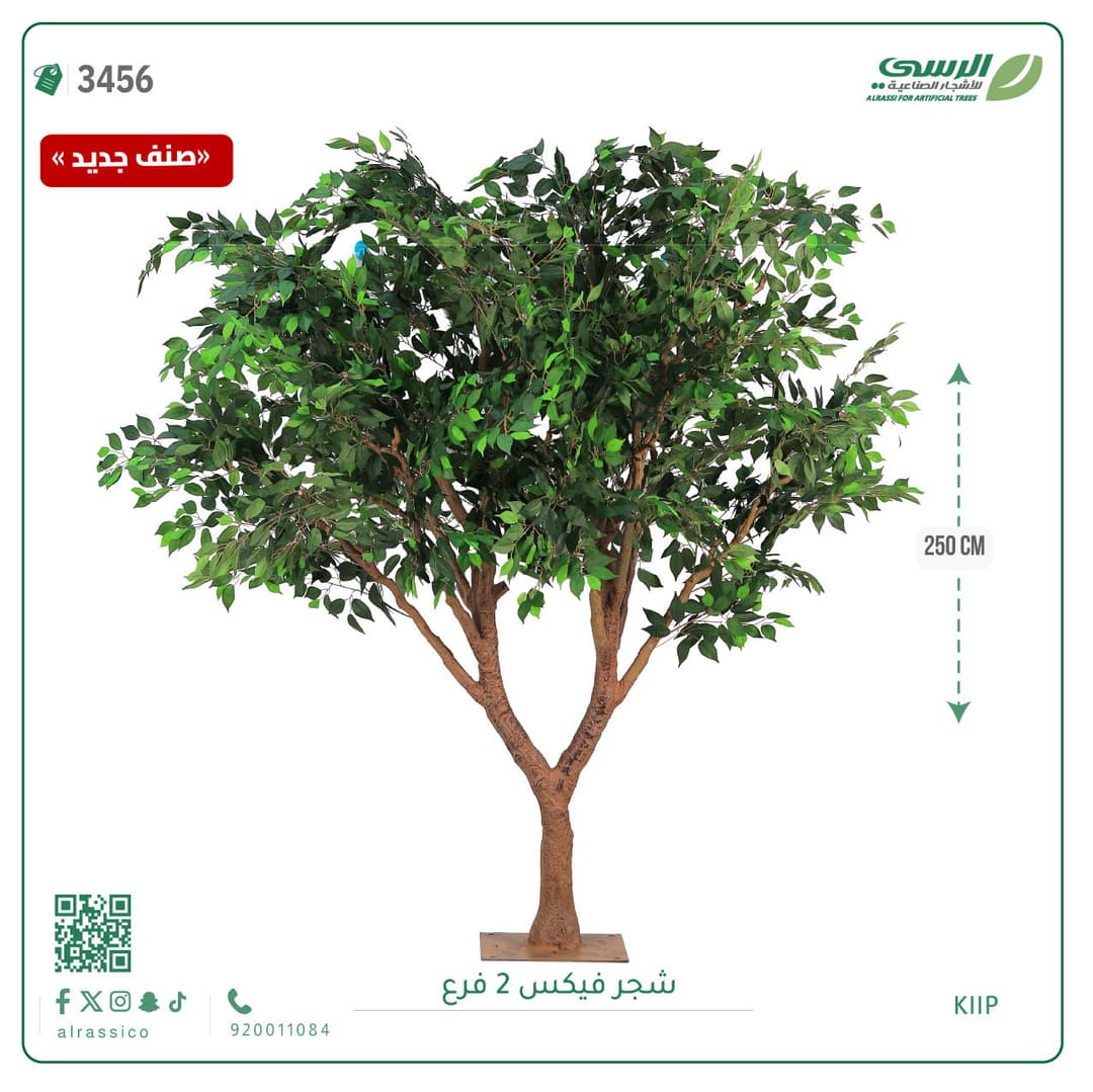 شجر فيكس 2 فرع