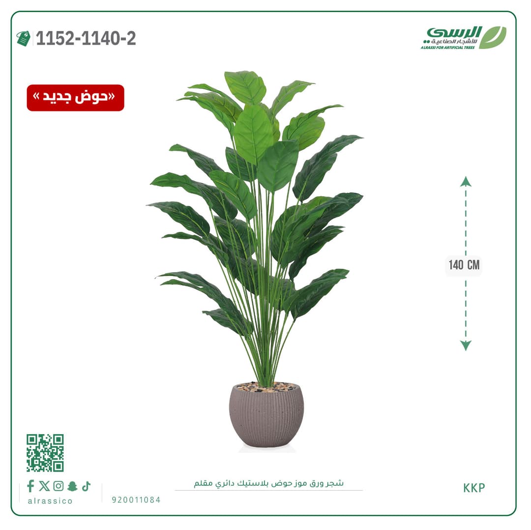 Banana Leaf Plant in Striped Round Plastic Pot