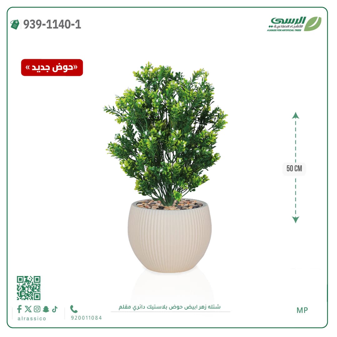 White Flower Plant in Striped Round Plastic Pot