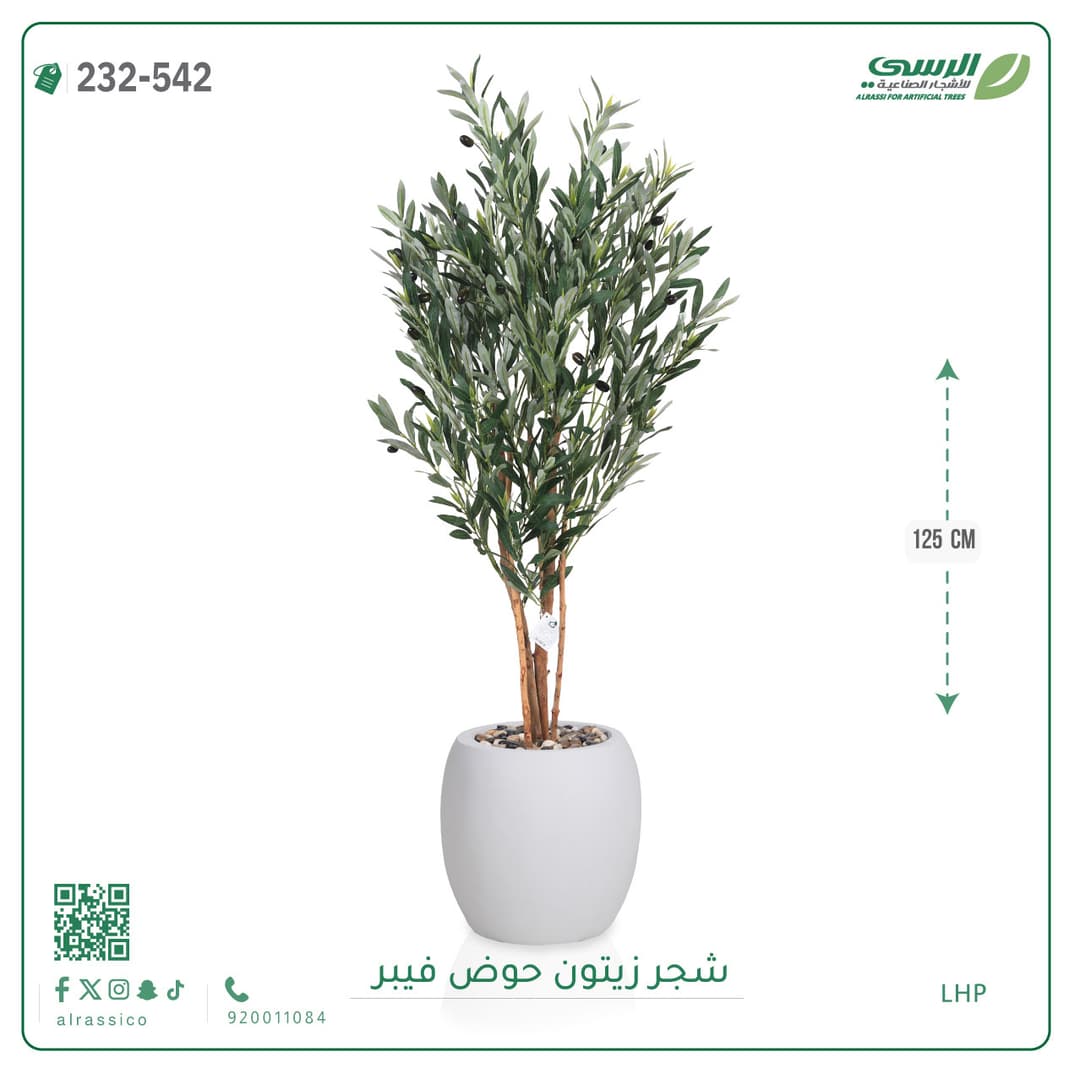 شجر زيتون حوض فايبر 125 سم