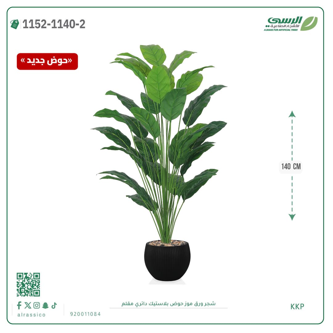 Banana Leaf Plant in Striped Round Plastic Pot