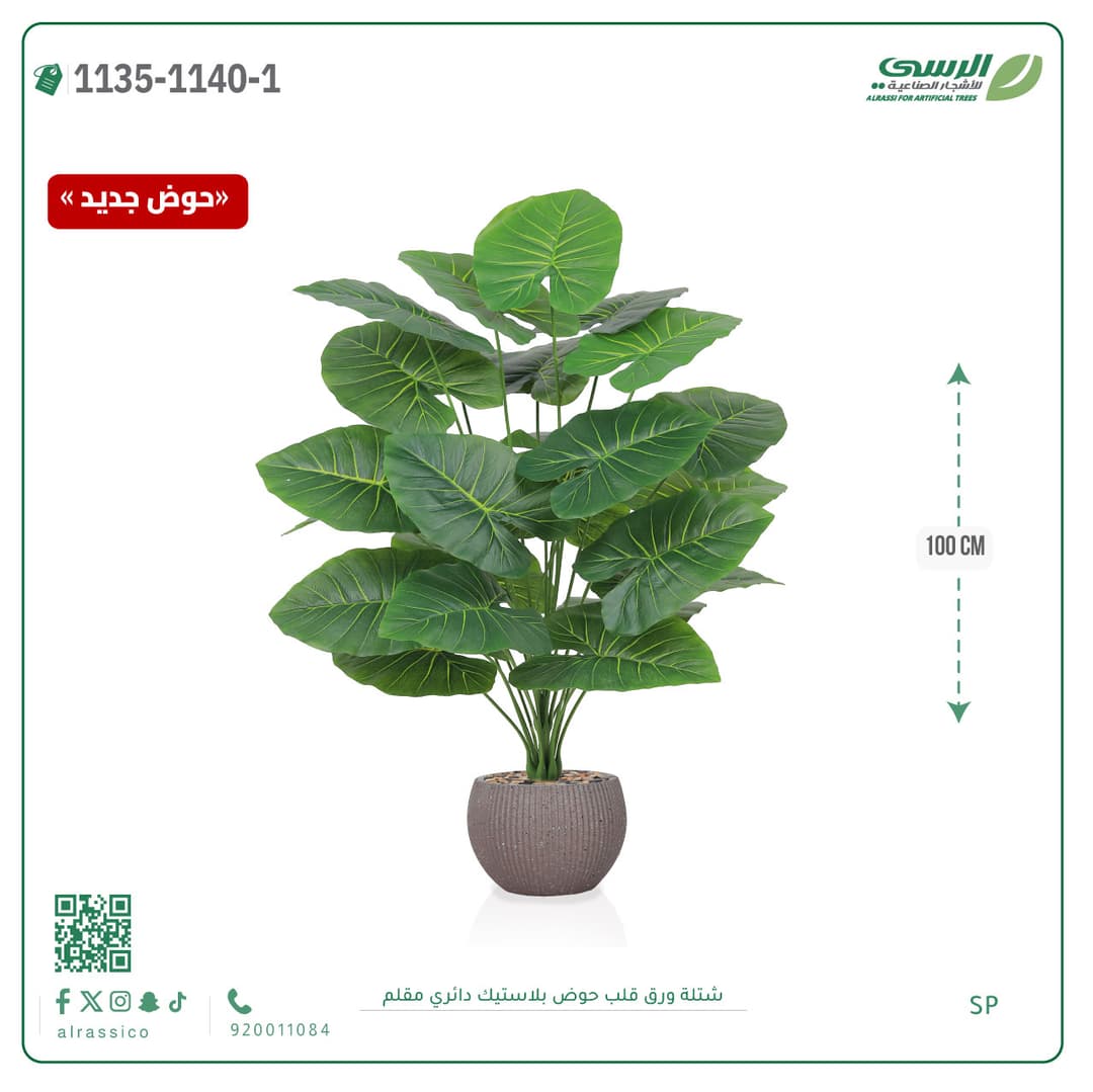 Heart Leaf Plant in Striped Round Plastic Pot