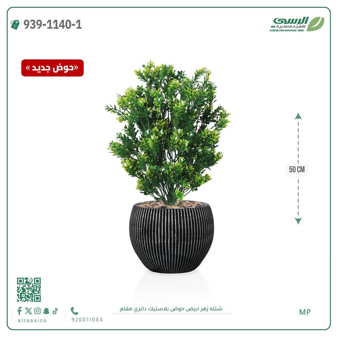 White Flower Plant in Striped Round Plastic Pot