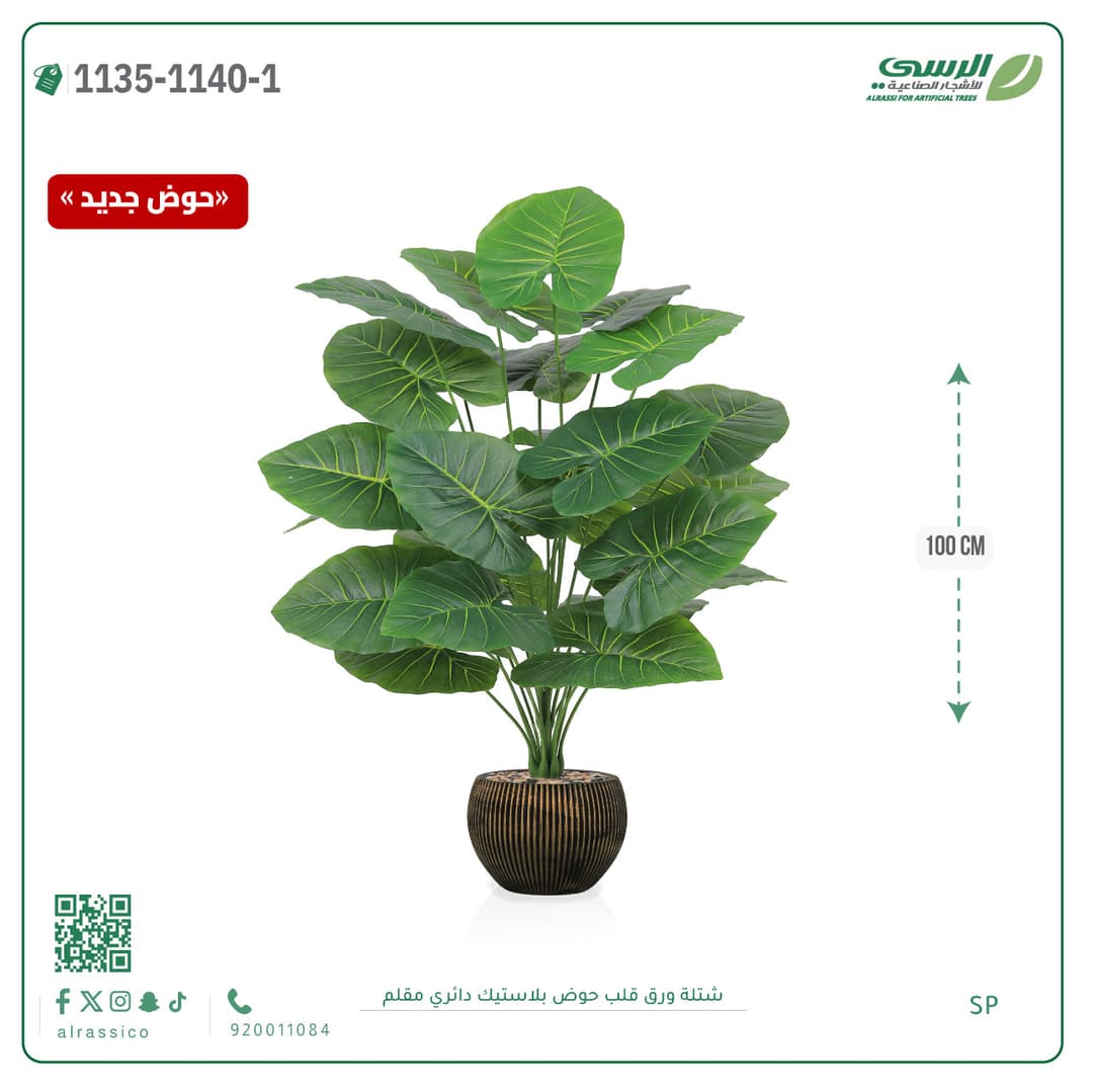 Heart Leaf Plant in Striped Round Plastic Pot