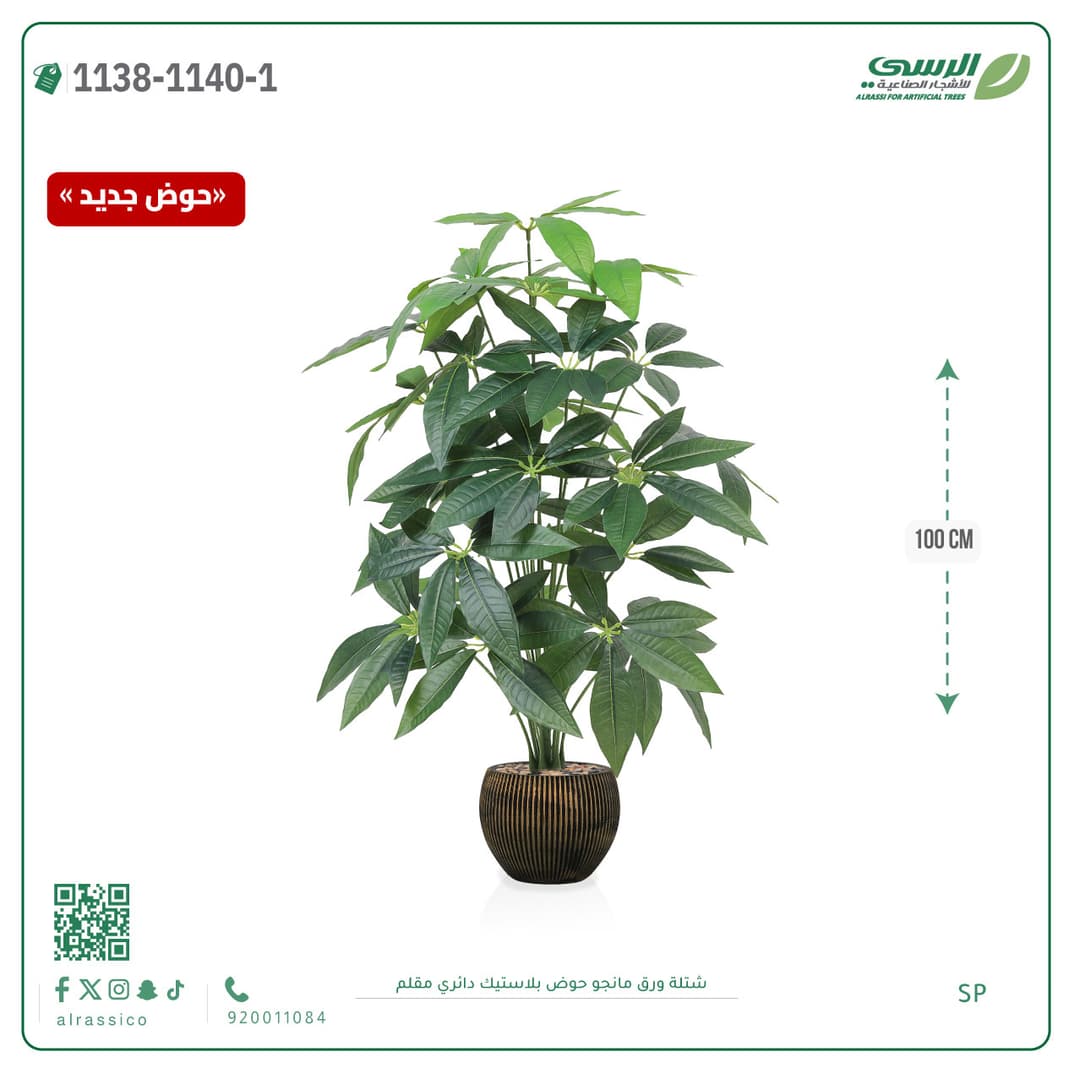 Mango Leaf Plant in Striped Round Plastic Pot