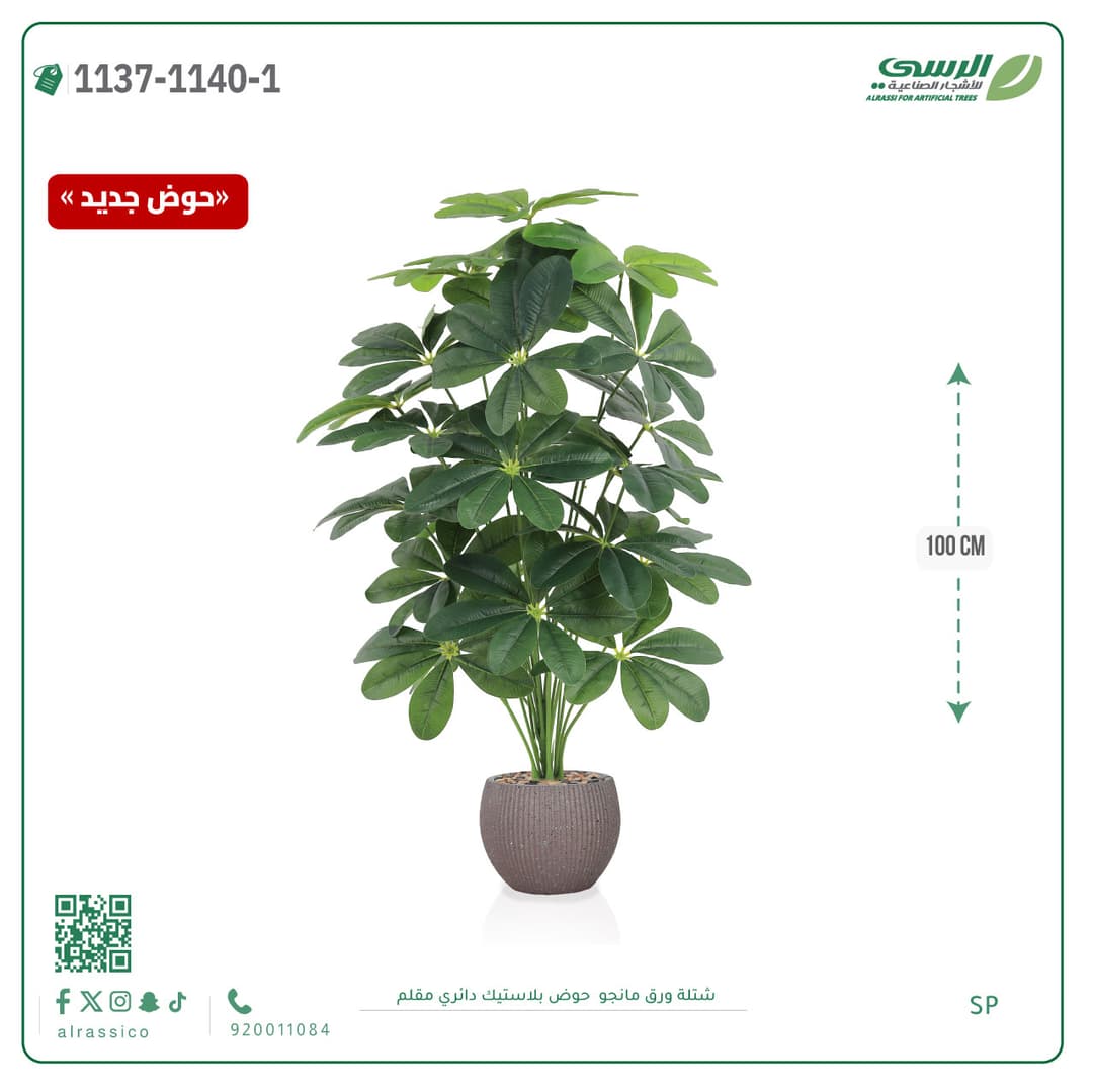 Mango Leaf Plant in Striped Round Plastic Pot