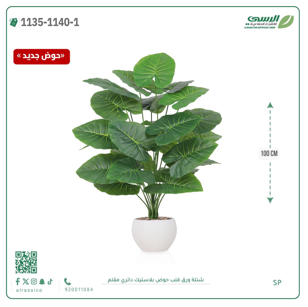 Heart Leaf Plant in Striped Round Plastic Pot