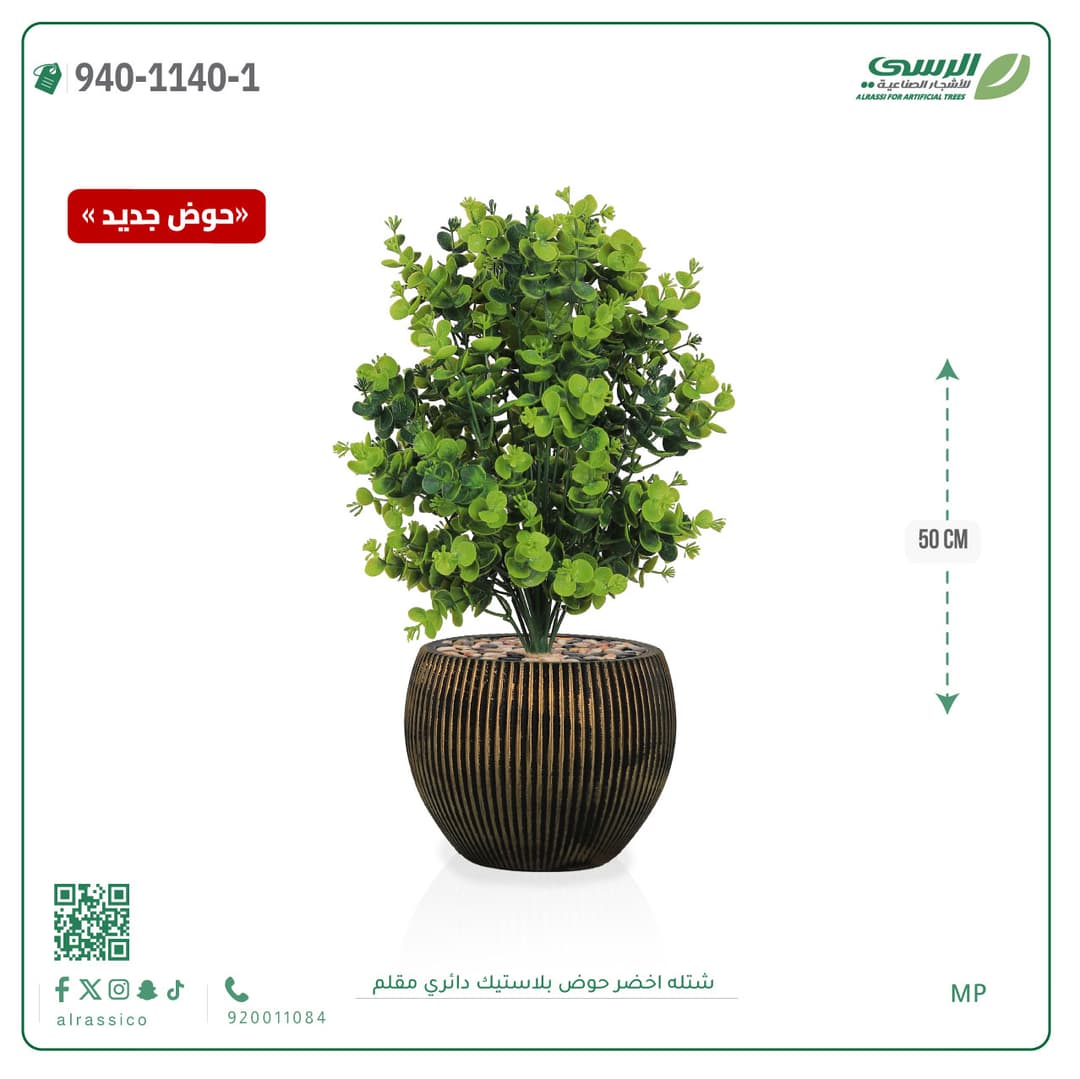 Green Plant in Striped Round Plastic Pot