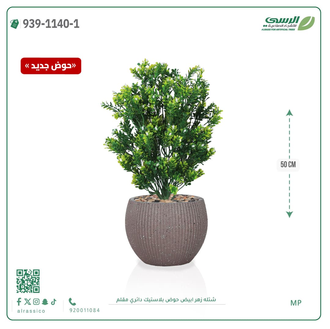 White Flower Plant in Striped Round Plastic Pot