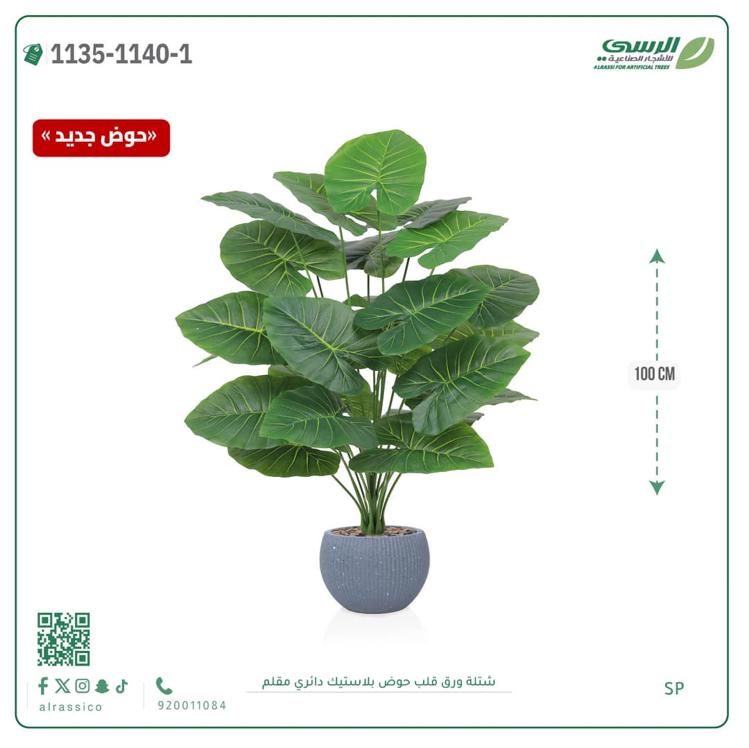 Heart Leaf Plant in Striped Round Plastic Pot