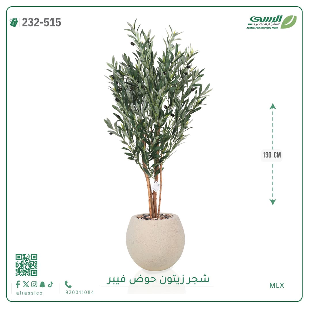 شجر زيتون حوض فايبر