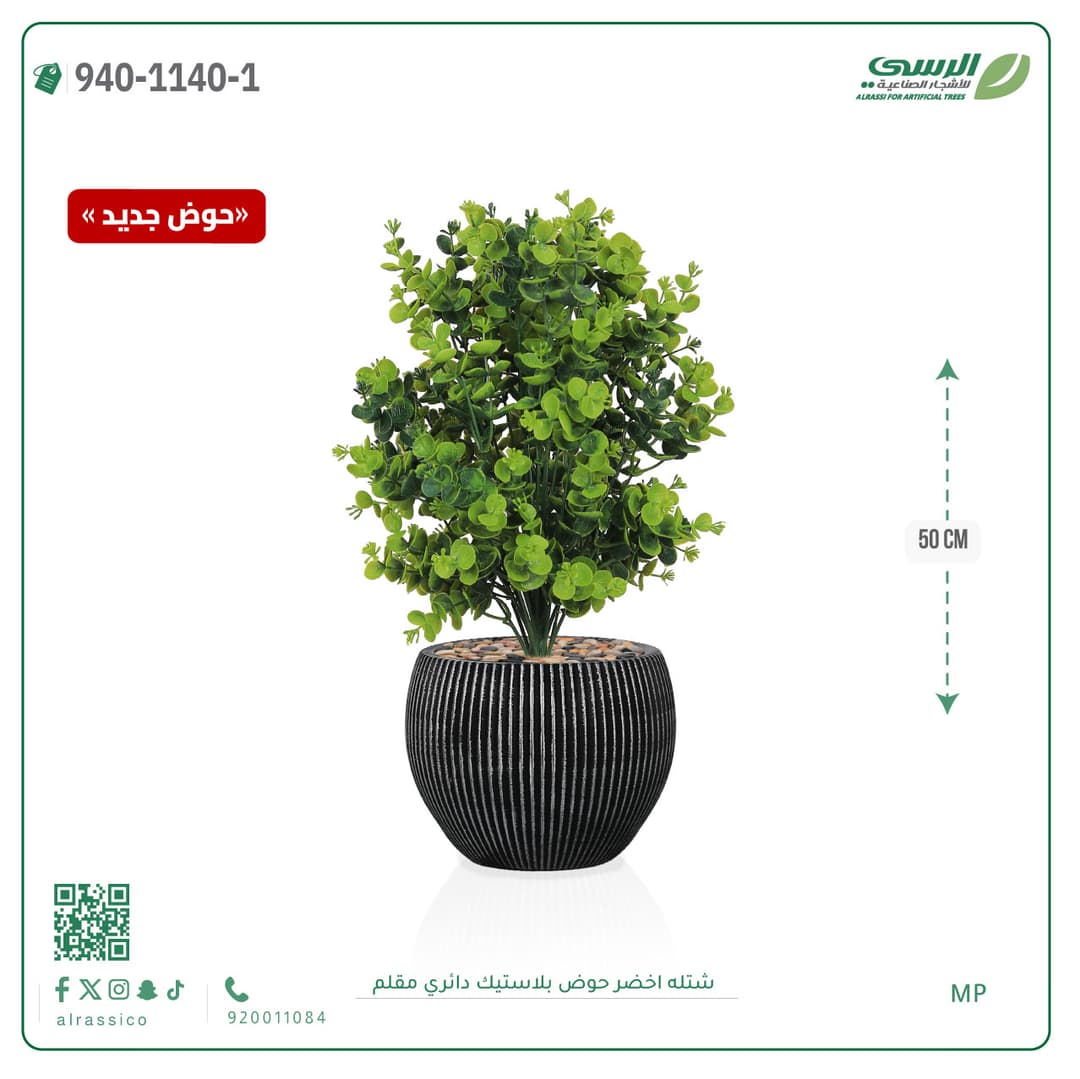 Green Plant in Striped Round Plastic Pot