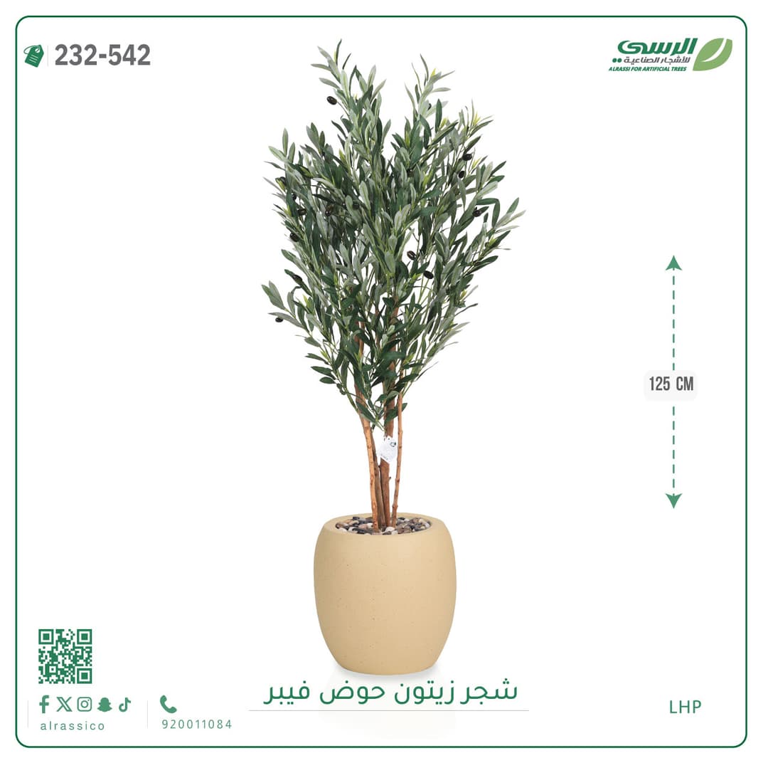 شجر زيتون حوض فايبر 125 سم
