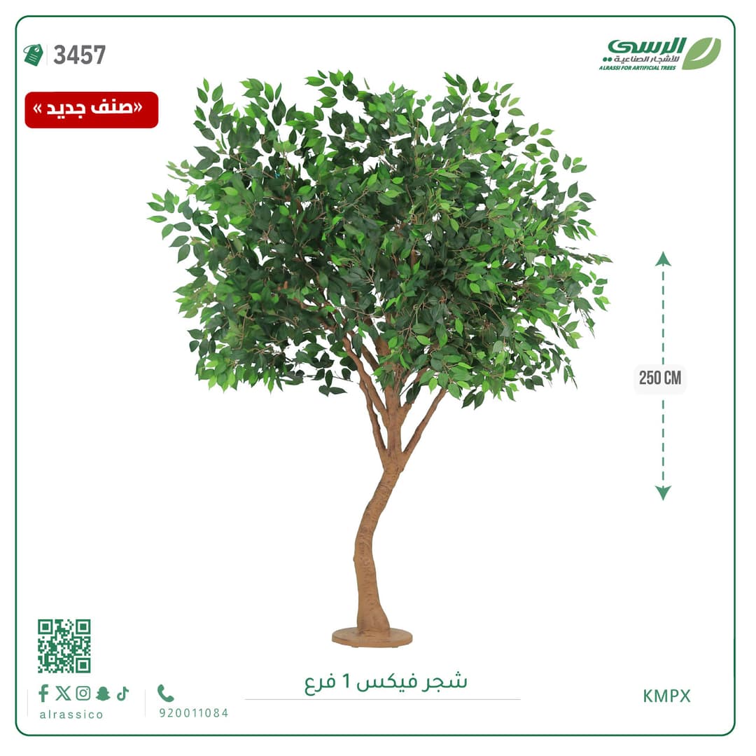 1-Branch Ficus Tree
